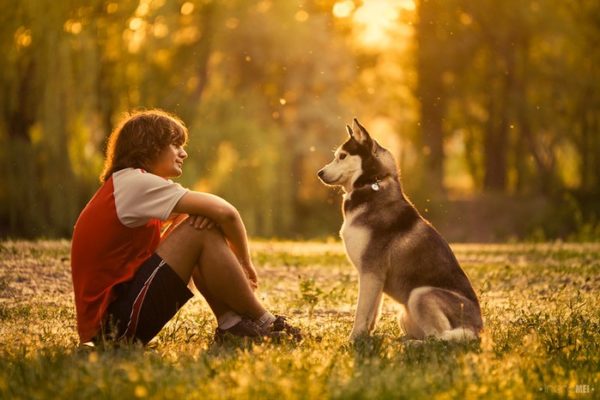 كيف تصبح قائدا لكلب قراءة المقال