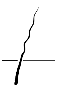 شعر مجعد
